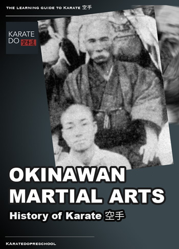 Apple Books Okinawan Martial Arts