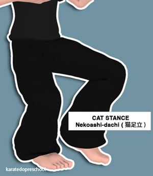 Nekoashi-dachi (猫足立, cat foot stance)